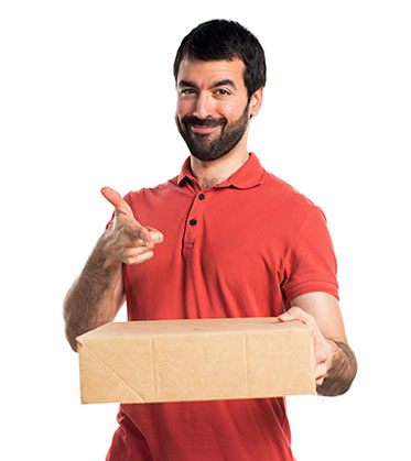 [Team Member Name] - [Their Title]